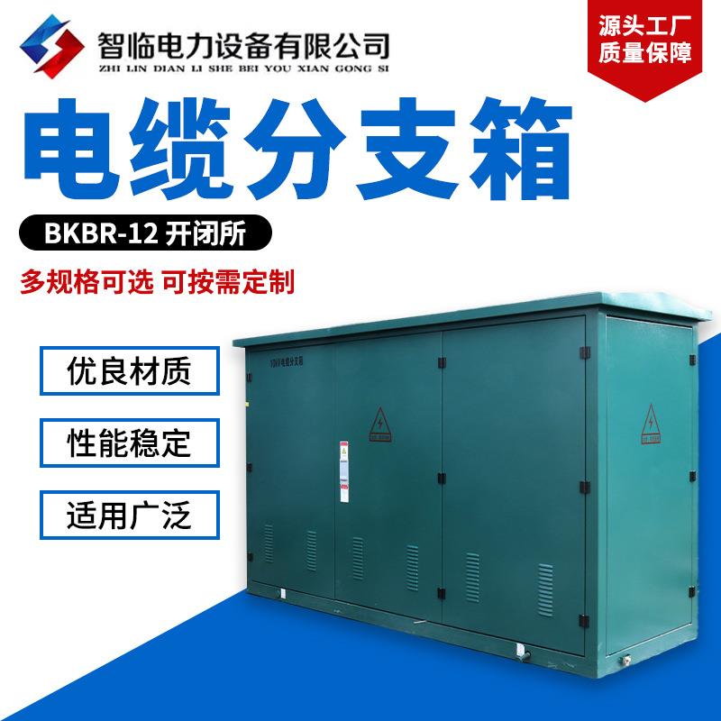 BKBR-12开闭所高压充气柜配电柜环网柜六氟化硫全绝缘10KV开闭所