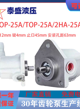 ROP-25A/20A大流量三角摆线油泵TOP-25A/20AVB带阀2HA-25螺丝机泵
