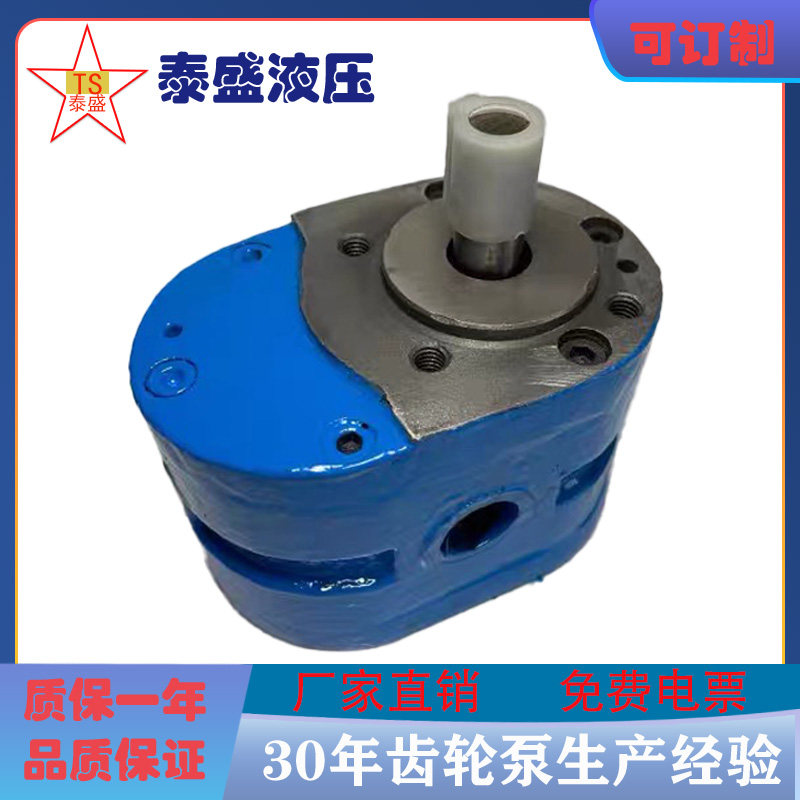 HY01-3X5 5X10 8X15 12X20 18X25 25X25 100X25齿轮油泵 机床油泵