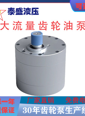 大流量齿轮泵CB-B160 200 250 300 350400 500低噪音DCB/XCB/TXLB