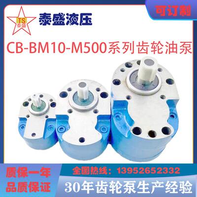 CB-BM25/80川润齿轮油泵免费普票