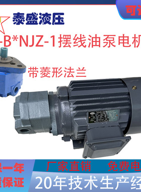 BB-B16NJZ 1 BB-B25NJZ-1摆线齿轮油泵电机组BB-B32N/B20N/40东高