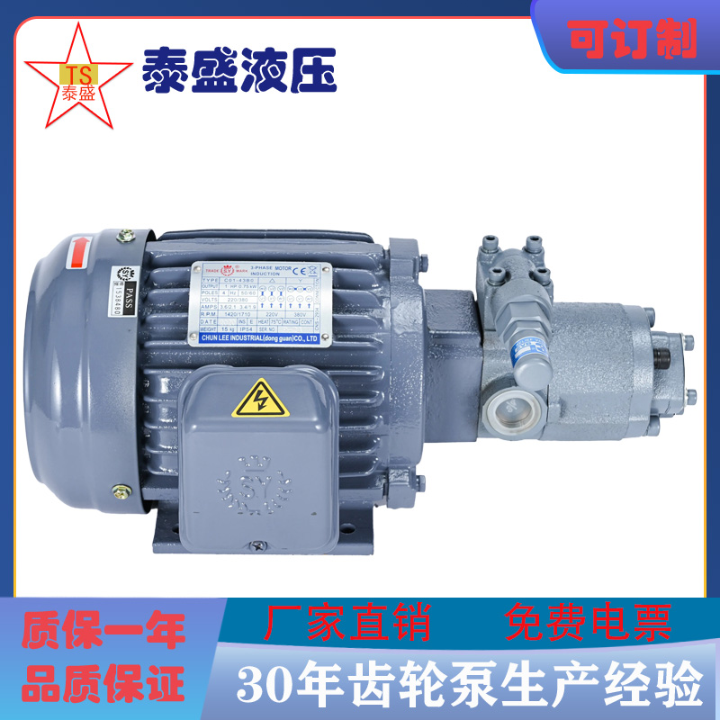 润滑摆线泵TOP203/210HB-VB(VD)齿轮油泵206数控机床静音抽油泵4