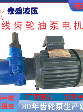 RBB-326Y/320Y/340Y摆线齿轮油泵电机0.75KW/1.5KW 326Y2 316Y1G