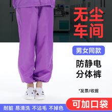 无尘服分体裤子蓝白紫色松紧防尘裤电子食品工厂防静电工作服裤子