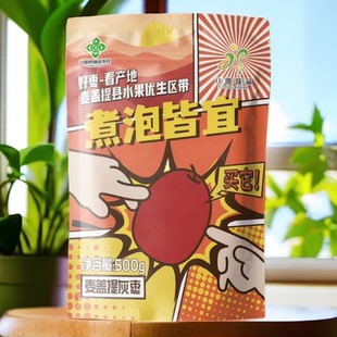 【妮娅粉丝专享】新疆麦盖提灰枣500g