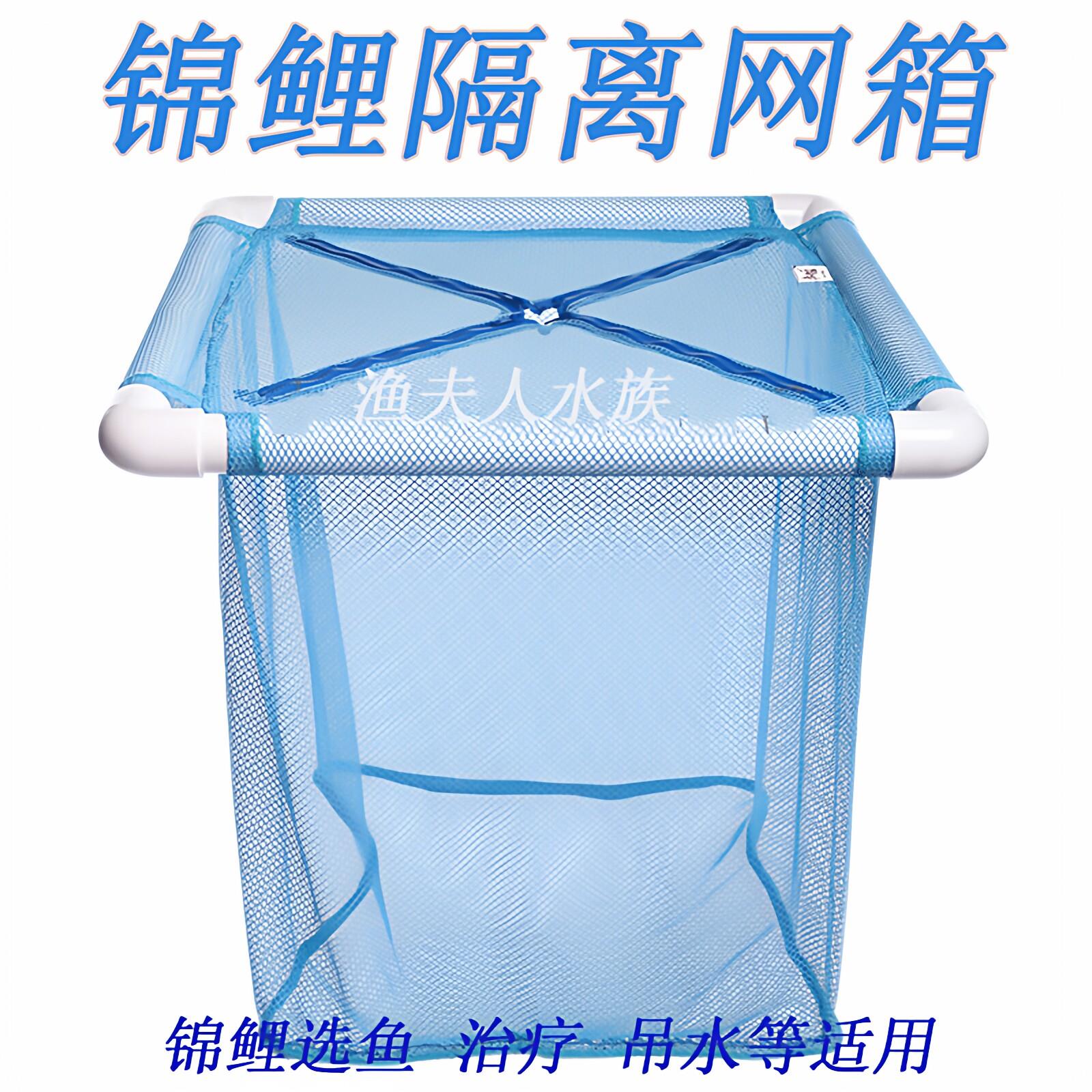 锦鲤隔离网箱鱼池暂养箱漂浮式病鱼隔断网观赏鱼繁殖育苗孵化池