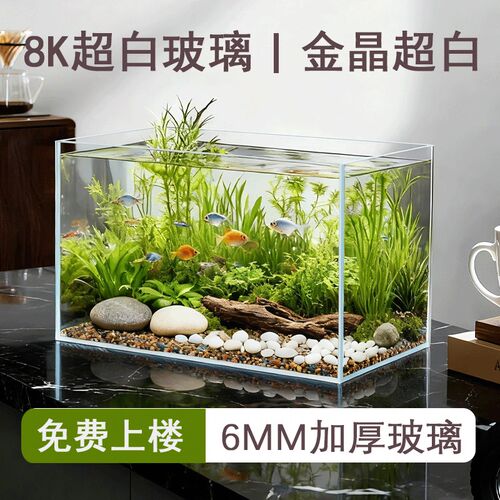 金晶超白玻璃鱼缸客厅家用生态水草裸缸溪流缸乌龟缸长方形小鱼缸