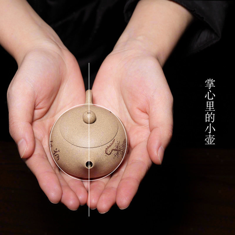 宜兴紫砂壶纯手工功夫茶具办公家用小茶壶一人用小容量段泥西施壶