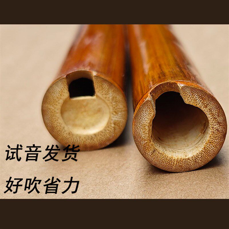 大漆南箫乐器初学入门专业演奏级8孔萧大头带竹子根部G调洞箫斑竹