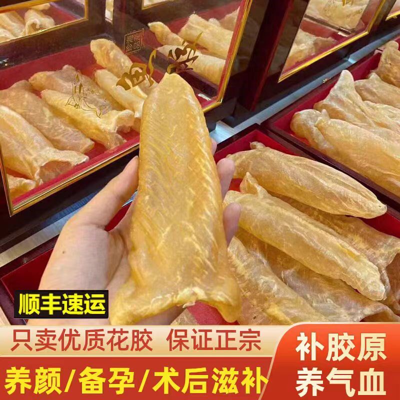 正宗黄花胶筒鱼胶干货老鱼肚胶原孕妇鸡汤料营养礼盒30/60/100头