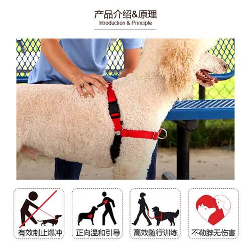 二代Easywalk前扣式胸背防爆冲狗牵引绳中大型犬狗绳随行反光加厚