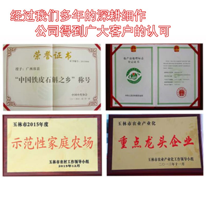 铁皮石斛新鲜条霍山铁皮石斛鲜条铁皮枫斗干花四年生500克包邮