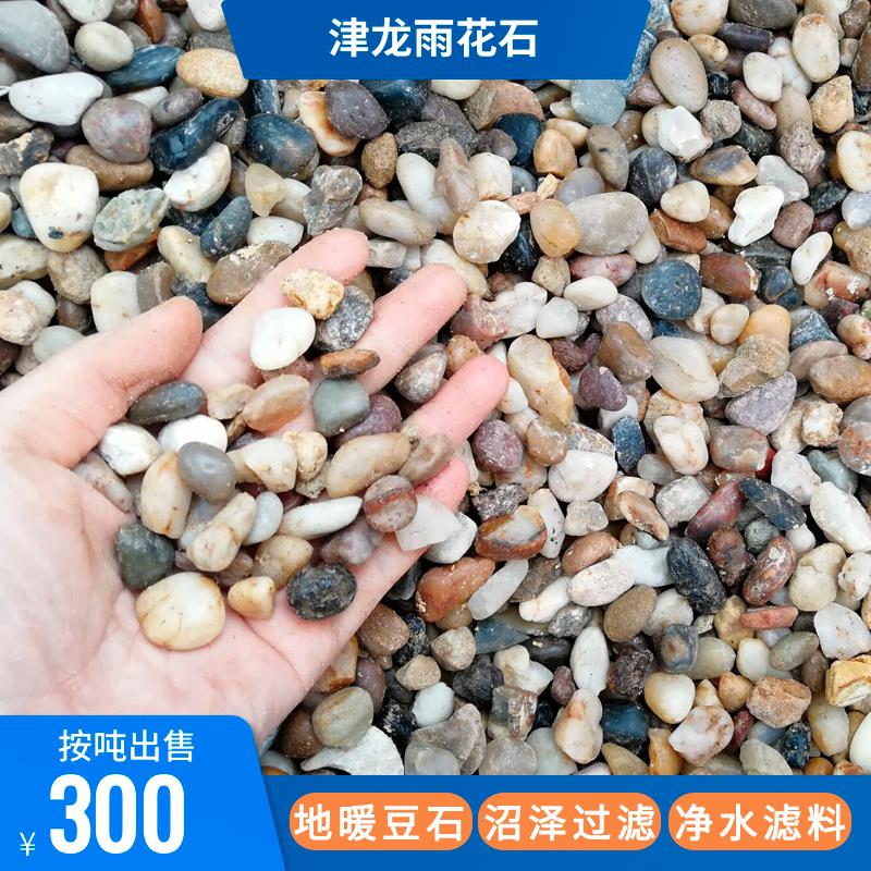 天然鹅卵石石头家装铺路地暖专用豆石找平回填小石子滤料水处理