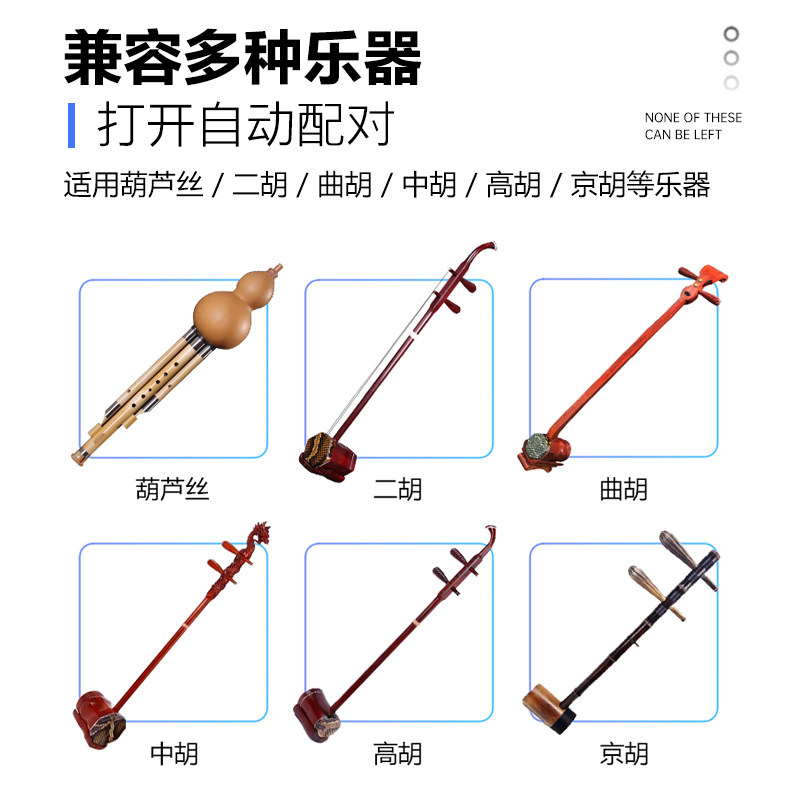 2.4G乐器无线麦克风专业葫芦丝拾音器一拖二舞台演出专用音响二胡