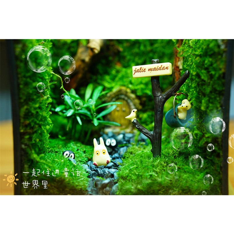 创意桌面苔藓微景观成品雨林缸造景办公桌面植物盆景生态瓶礼物