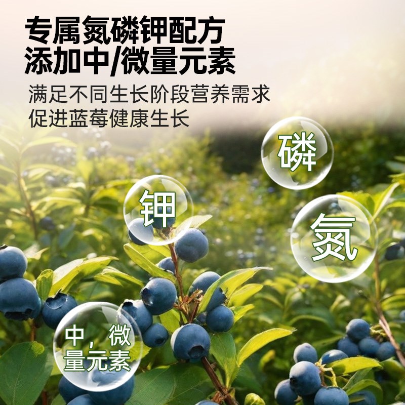 蓝莓营养液蓝莓专用肥料黄叶变绿叶调酸有机肥复合肥盆栽蓝梅树肥