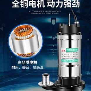 潜水泵污水泵220v抽粪泥浆家用高扬程农用灌溉排污不锈钢抽水泵