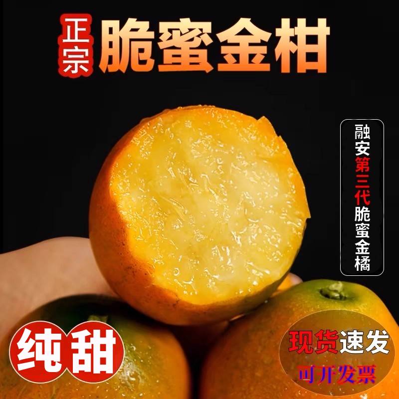 融安脆蜜金桔独立包装金桔