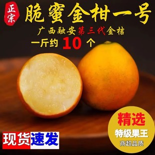正宗融安脆蜜金柑5A级果王独立包装第三代大金桔纯甜水果礼盒装