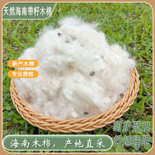 天然带籽木棉海南优质有籽木棉花枕头枕芯填充料散装木棉送枕芯套