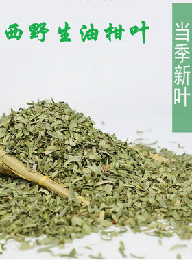 新鲜散装油柑叶枕头家用婴儿成人枕芯填充物野生油甘果叶四季通用