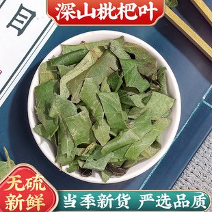 永康元 新货枇杷叶中药材枇杷叶干货生枇杷叶新货枇杷叶泡茶