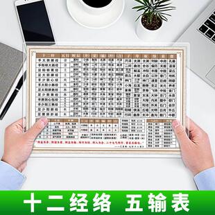 倪老师 同款 五腧穴表 原本穴 五输穴学位表速查表装饰画 画A4塑