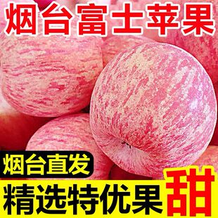 正宗烟台红富士苹果山东栖霞红富士苹果当季新鲜水果批发一整箱