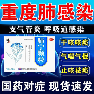 修正药业肺宁颗粒10袋慢性支气管炎咳嗽止咳化痰风热感冒清热解毒