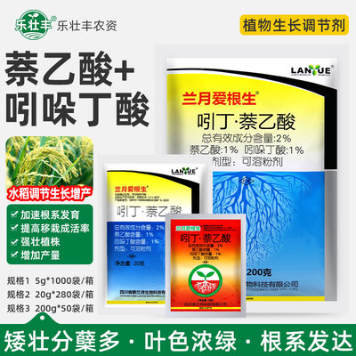 爱根生2%生长调节剂水稻专用