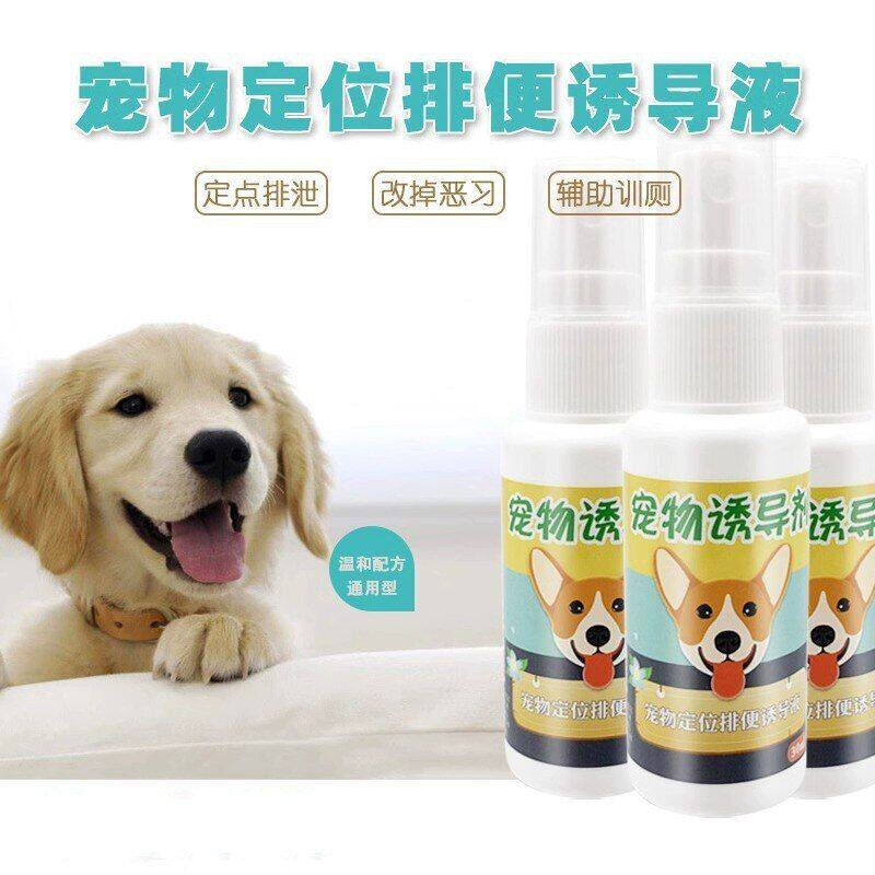 狗厕所训练宠物便尿排便上引便定点厕所诱导剂诱导剂训练大小便狗