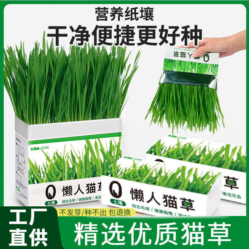 用品猫咪袋装新款盆栽水培无土
