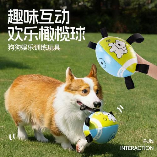 足球玩具狗户外边牧自狗狗户外