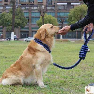 极速Double Strand Roope Large Dog Leashes Metal P Chain Buck