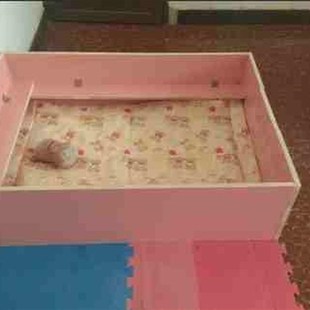 极速包邮实木宠物大型犬狗u木制产床产房产箱窝屋笼定做狗产床产