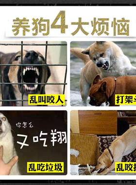 极速黑色小号狗狗嘴套小型精x致泰迪简单嘴罩简易幼犬贵宾美观牢