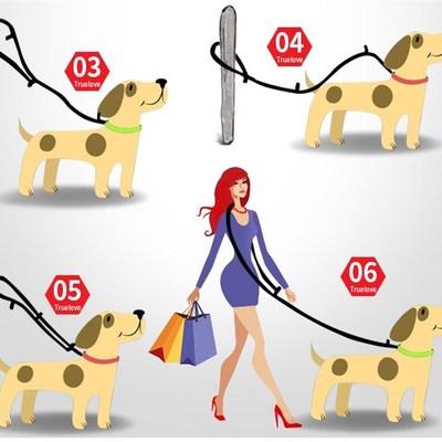 极速Soft Dfog Pet Leash in Harness and Collar Reflective Nyl