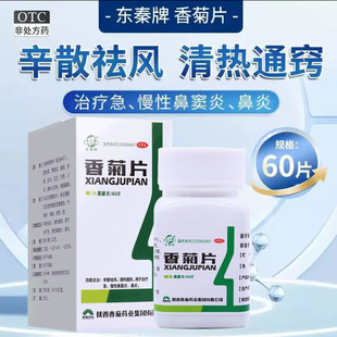 东秦香菊片60片成人儿童急慢性鼻炎鼻窦炎鼻痒专用特药膏效断鼻塞