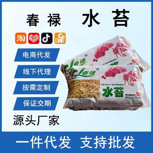 厂家干水苔蝴蝶兰专用毛毛虫爬宠垫材营养基质土干水苔藓