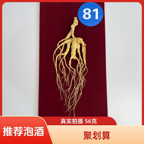 好货无需多言喜欢的老板收藏吧