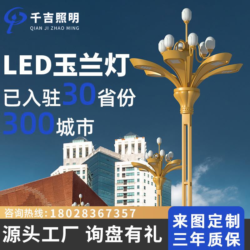 玉兰灯市政广场景观灯8/12米景区led户外灯工程道路景观路灯