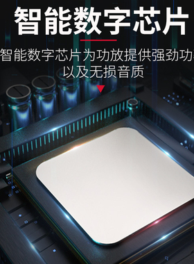 双通道专业CA2 CA4 CA6 CA12 CA18舞台演出婚庆大功率后级功放机