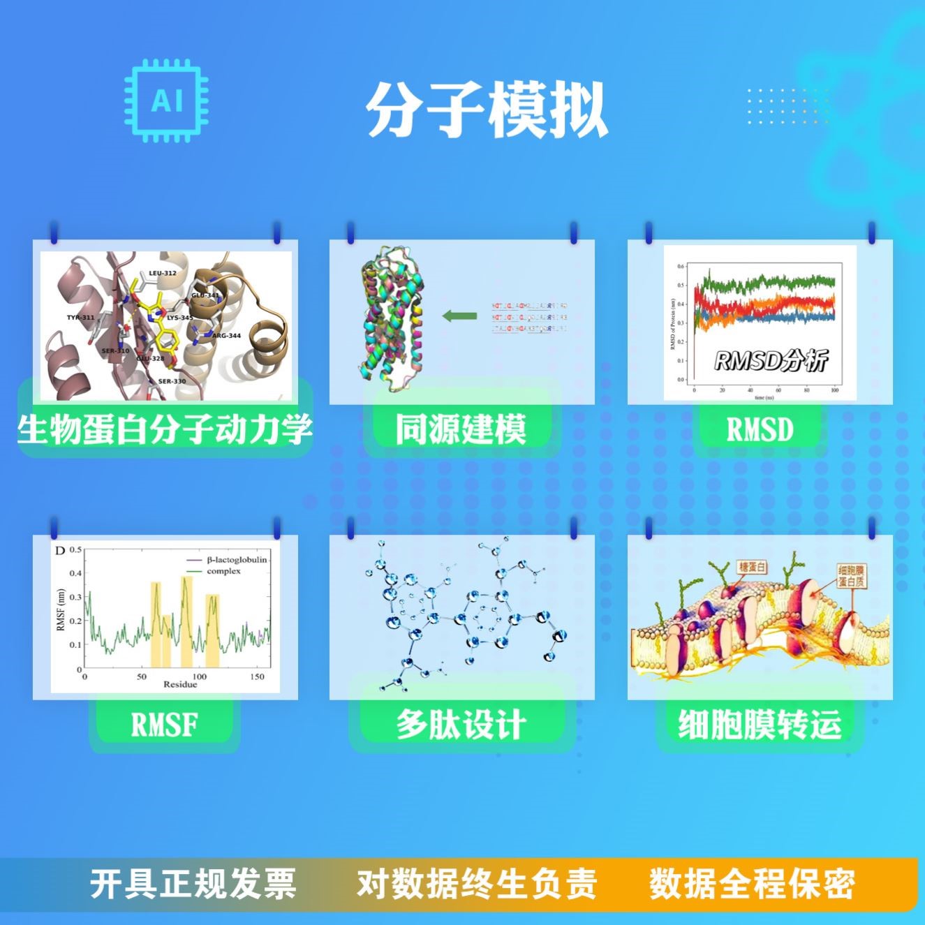 分子动力学模拟 代算代做 Gromacs分子对接模拟计算 粗粒化模拟