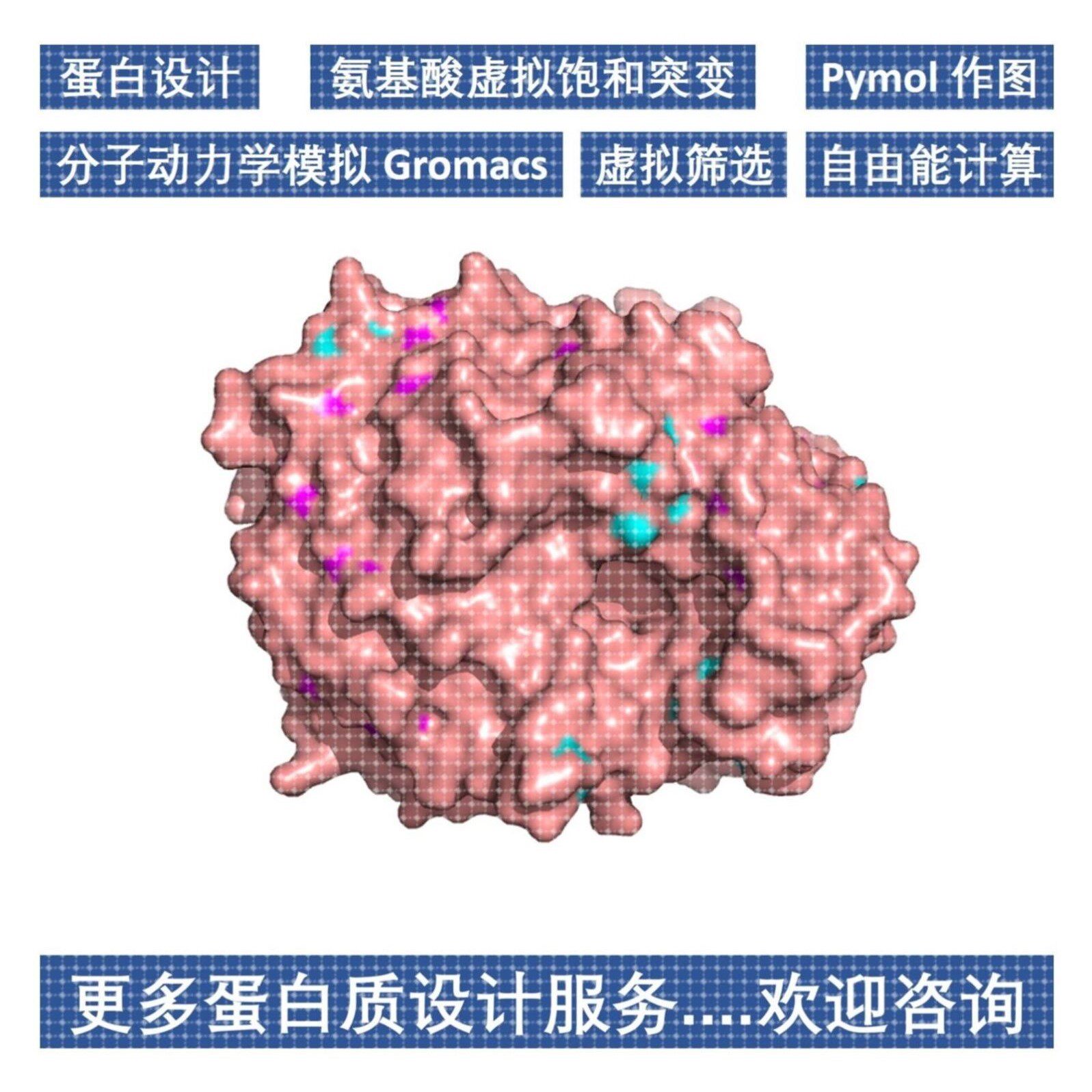 分子动力学模拟GromacsMD代分析分子对接虚拟筛选CADD 酶理性设计