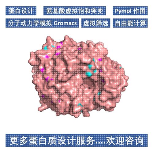 分子动力学模拟GromacsMD代分析分子对接虚拟筛选CADD 酶理性设计