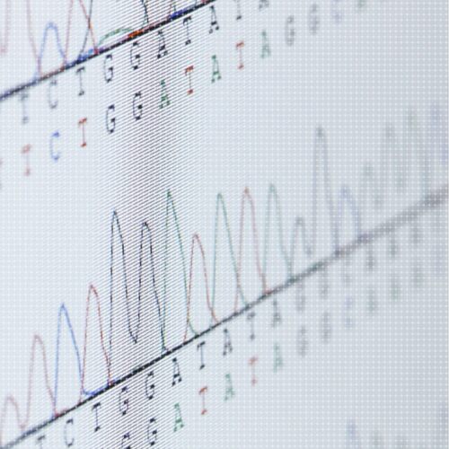 生信代码定制R语言Python测序数据分析脚本编写教学