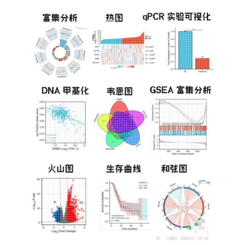 生信TCGA/GEO数据库挖掘差异基因分析rstudio热图火山图R语言代做