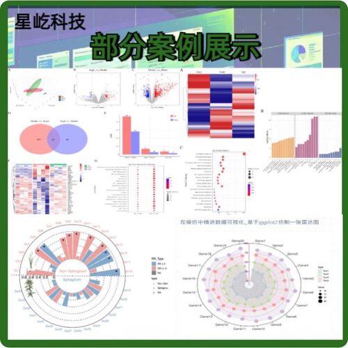 R语言TCGA数据库挖掘生信分析零基础入门教程