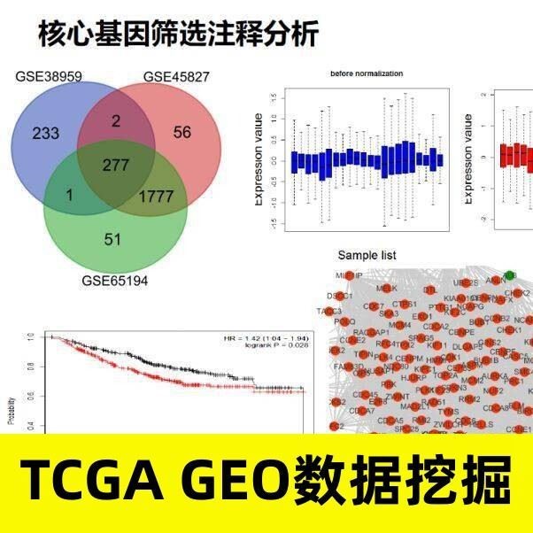 生信分析 微生物组数据分析 肠道菌群 疾病关联 标志物 筛选